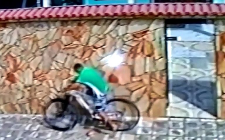 Reprodução